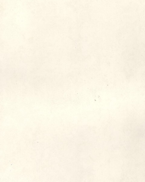 Viva Metal Composite panel Viva | Santa Fe | VA 12011 | Frosted Canvas