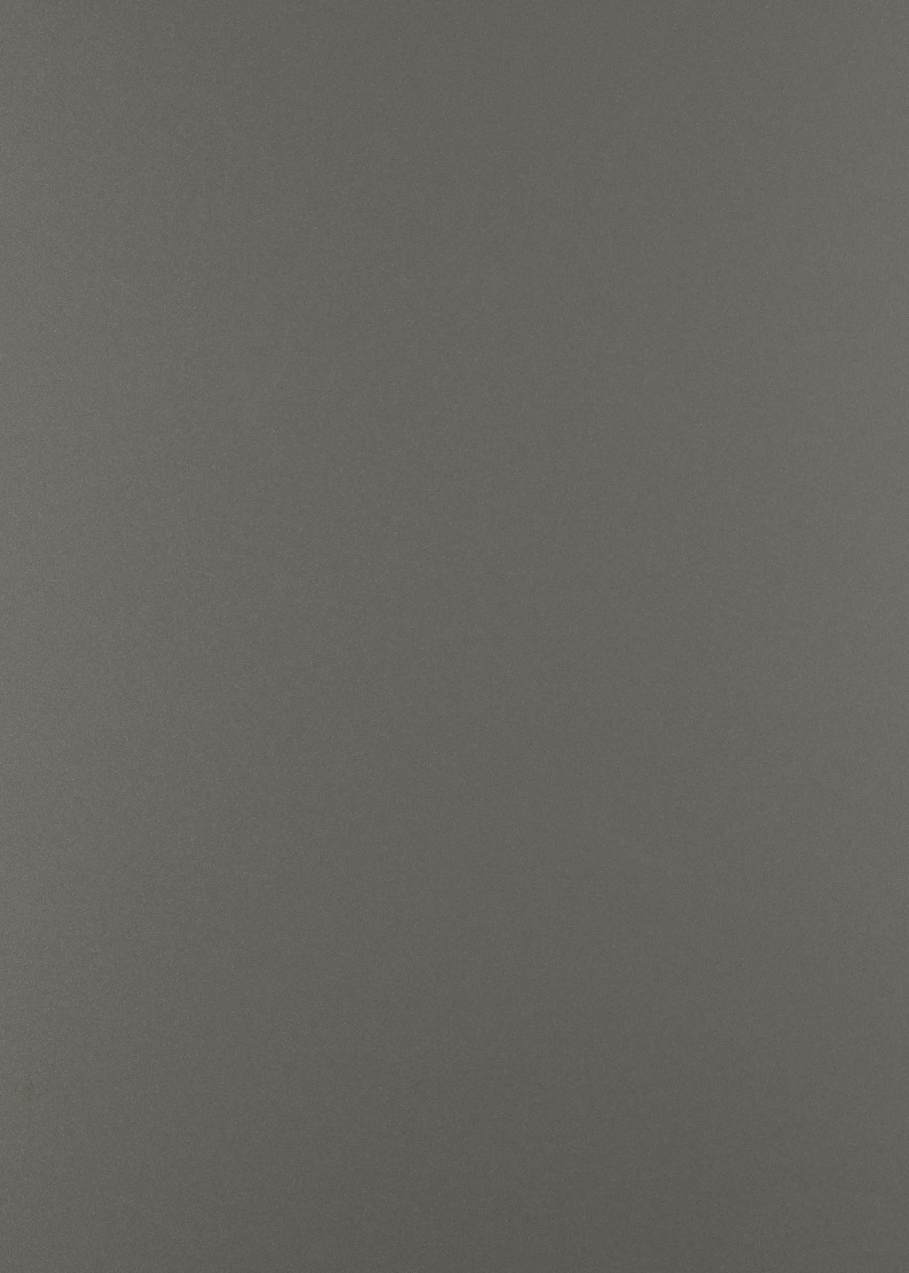 Nexcomb AD -03 Champagne Silver I Nexcomb